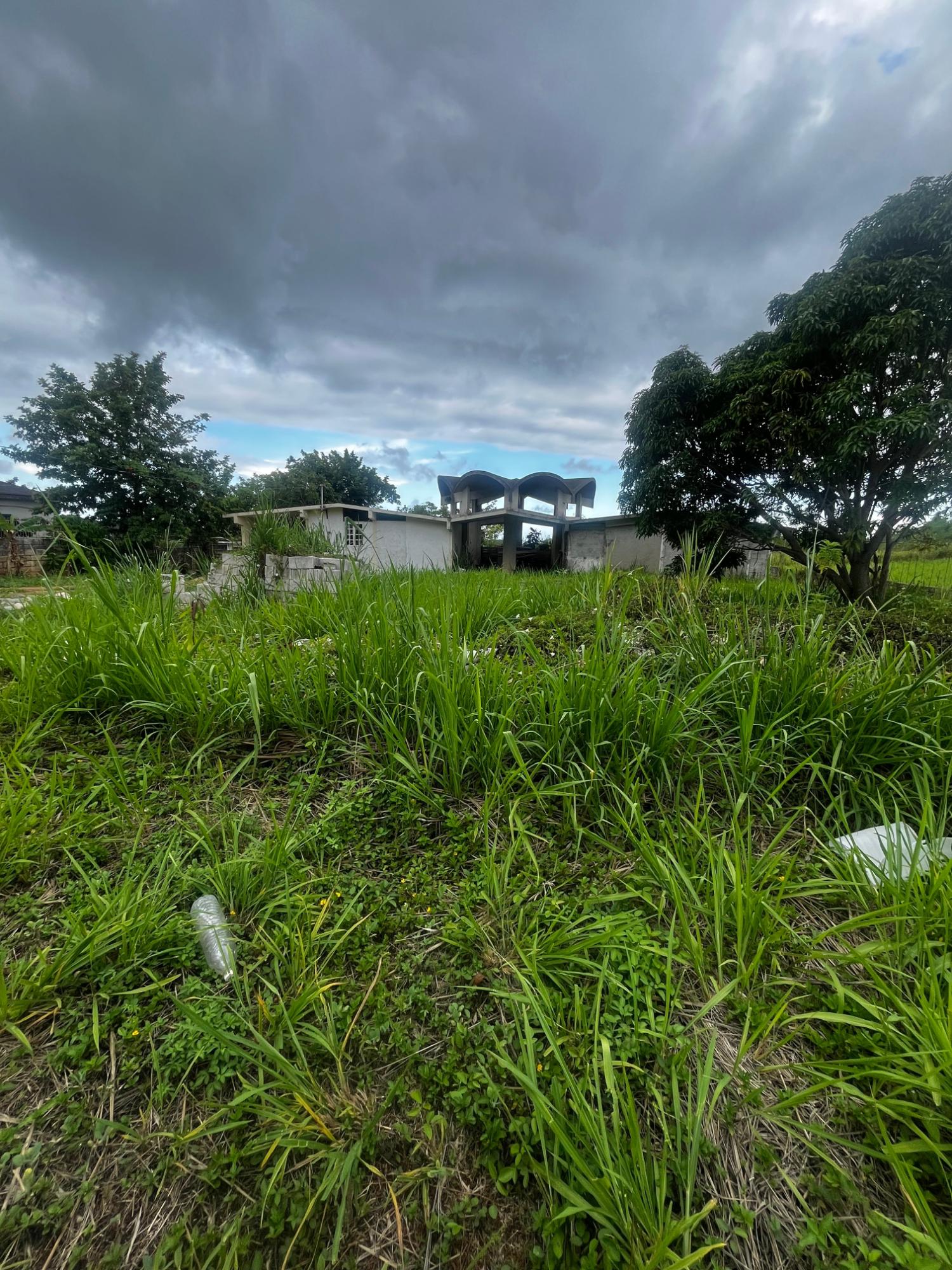 Cozy Belvedere Property 3