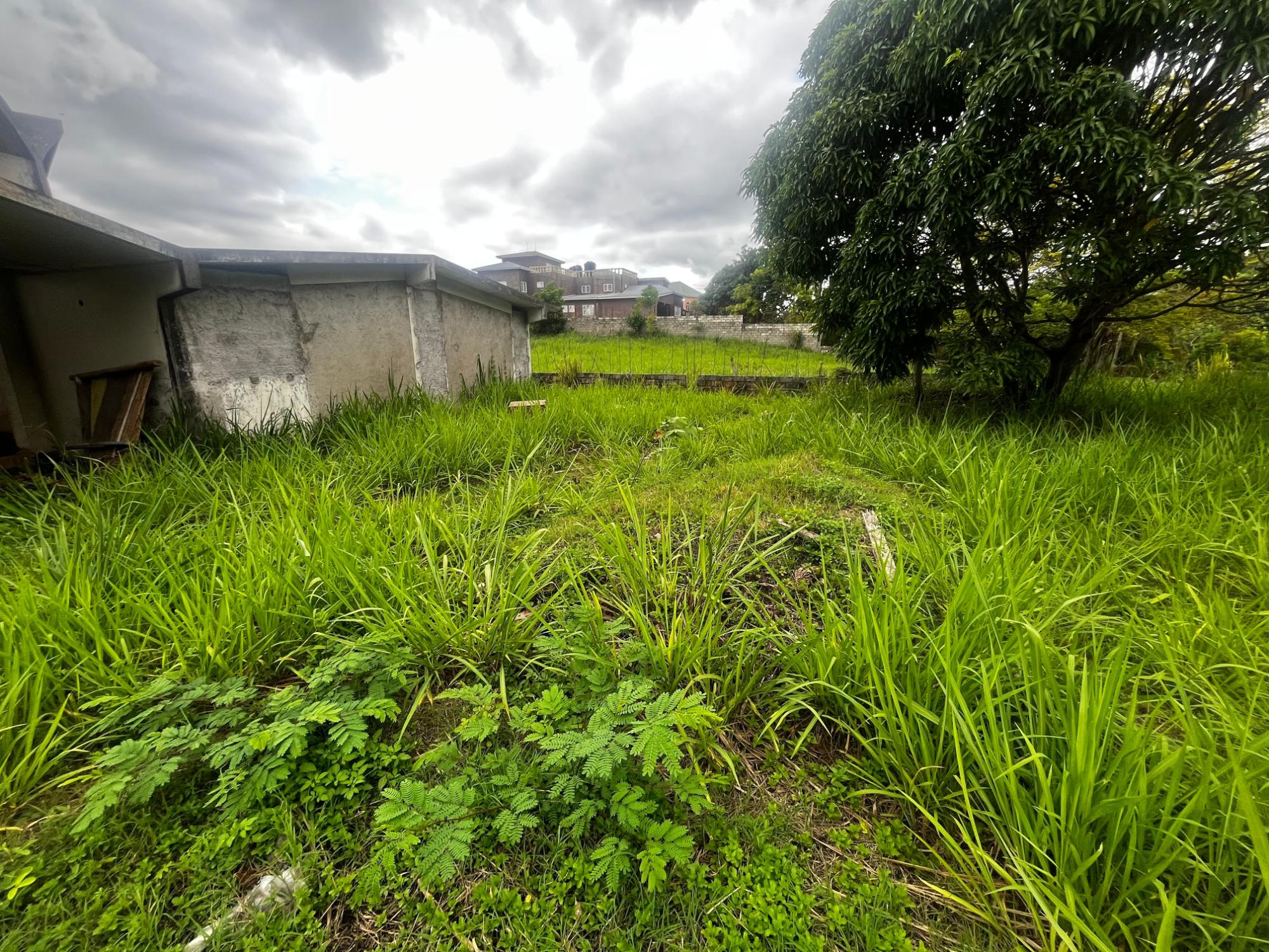 Cozy Belvedere Property 5